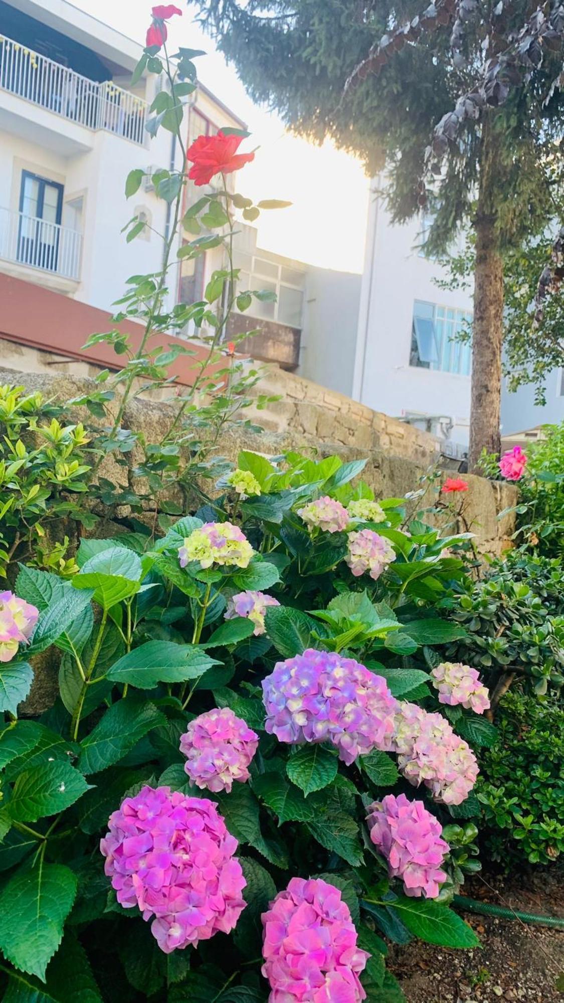 Invicta Porto Guest House Exterior foto